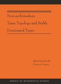 Produktbild: Non-Archimedean Tame Topology and Stably Dominated Types