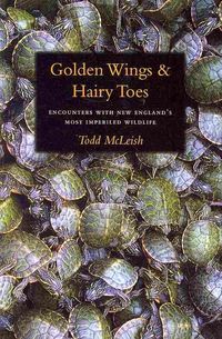 Produktbild: Golden Wings and Hairy Toes