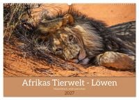 Produktbild: Afrikas Tierwelt - L&ouml;wen (Wandkalender 2027 DIN A2 quer), CALVENDO Monatskalender