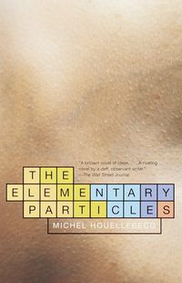 Bild vom Artikel The Elementary Particles vom Autor Michel Houellebecq
