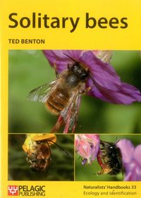 Produktbild: Solitary Bees