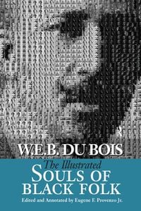 Produktbild: Illustrated Souls of Black Folk