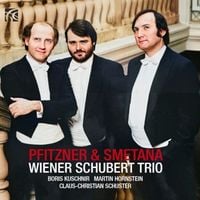 Bild vom Artikel Klaviertrio F-Dur op. 8 vom Autor Wiener Schubert Trio