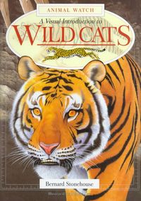 Produktbild: Stonehouse, B:  Wild Cats