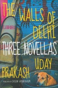 Produktbild: The Walls of Delhi