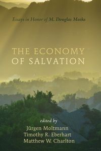 Produktbild: The Economy of Salvation