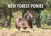 Produktbild: The Spirit of New Forest Ponies
