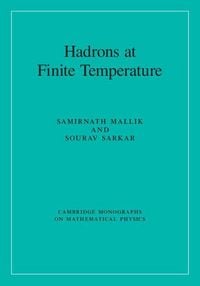 Produktbild: Hadrons at Finite Temperature