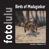 Bild vom Artikel Birds of Madagaskar vom Autor Fotolulu