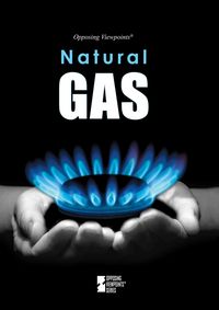 Produktbild: Natural Gas