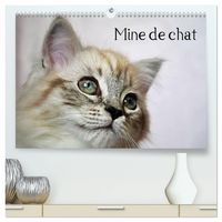 Produktbild: Mine de chat (Calendrier mural haut de gamme 2027 DIN A2 vertical), CALVENDO calendrier mensuel