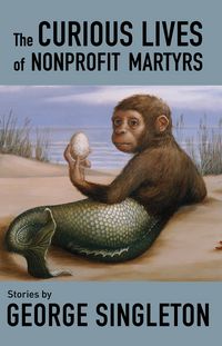 Produktbild: The Curious Lives of Nonprofit Martyrs