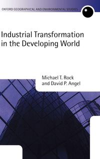 Produktbild: Industrial Transformation in the Developing World