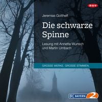 Produktbild: Die schwarze Spinne