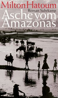 Produktbild: Asche vom Amazonas