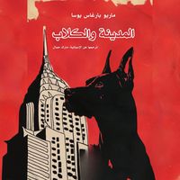 Produktbild: The city and the dogs