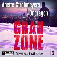 Produktbild: Grauzone