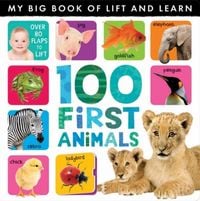 Produktbild: Caterpillar Books: My Big Book of Lift and Learn: 100 First