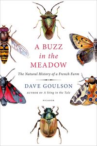 Produktbild: Buzz in The Meadow
