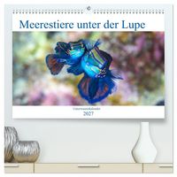Produktbild: Meerestiere unter der Lupe - Unterwasserkalender (hochwertiger Premium Wandkalender 2027 DIN A2 quer), Kunstdruck in Hochglanz