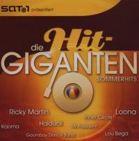 Produktbild: Various: Hit Giganten-Sommerhits