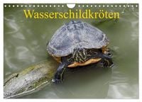Produktbild: Wasserschildkr&ouml;ten (Wandkalender 2026 DIN A4 quer), CALVENDO Monatskalender