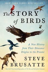 Produktbild: The Story of Birds