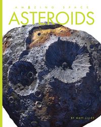 Produktbild: Asteroids