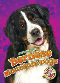 Produktbild: Bernese Mountain Dogs