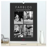 Produktbild: F A R B L O S - Schwarzwei&szlig; Fotografien (hochwertiger Premium Wandkalender 2026 DIN A2 hoch), Kunstdruck in Hochglanz