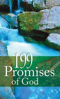 Produktbild: 199 Promises of God