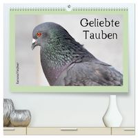 Produktbild: Geliebte Tauben (hochwertiger Premium Wandkalender 2027 DIN A2 quer), Kunstdruck in Hochglanz