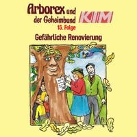 Produktbild: 15: Gef&auml;hrliche Renovierung