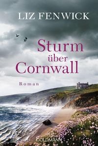 Produktbild: Sturm &uuml;ber Cornwall
