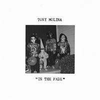 Produktbild: IN THE FADE (Red Vinyl)