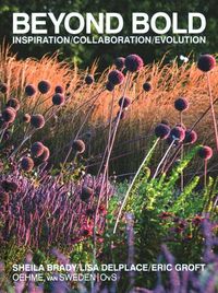 Produktbild: Beyond Bold: Inspiration, Collaboration, Evolution
