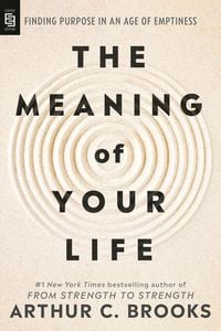 Produktbild: The Meaning of Your Life
