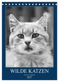 Produktbild: Wilde Katzen - Korsikas Samtpfoten (Tischkalender 2027 DIN A5 hoch), CALVENDO Monatskalender