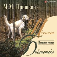 Produktbild: Kladovaya solnca