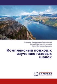 Produktbild: Komplexnyj podhod k izucheni&uuml; gazowyh shapok