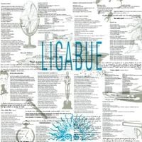 Produktbild: Ligabue