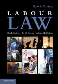 Produktbild: Labour Law