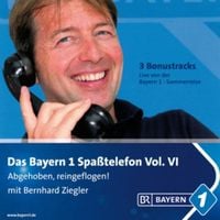 Bild vom Artikel Bayern 1 Spaßtelefon Vol. VI vom Autor Bernhard Ziegler