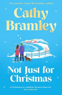 Produktbild: Not Just for Christmas