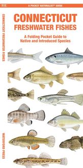 Produktbild: Connecticut Freshwater Fishes
