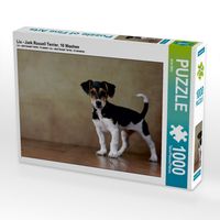 Produktbild: Liu - Jack Russell Terrier, 10 Wochen (Puzzle)