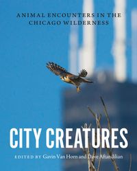 Produktbild: City Creatures