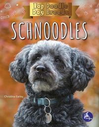 Produktbild: Schnoodles
