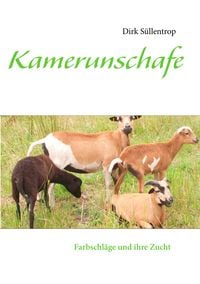 Produktbild: Kamerunschafe