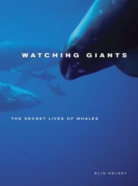 Produktbild: Kelsey, E: Watching Giants